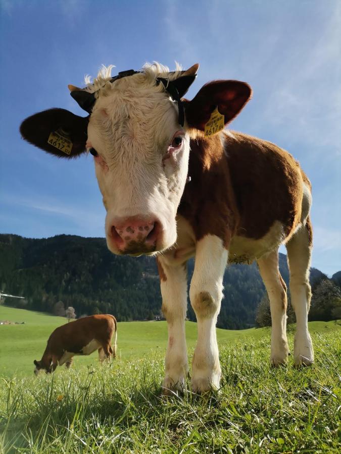 Ferienhaus Weber-Haeusl Reith im Alpbachtal Exteriér fotografie